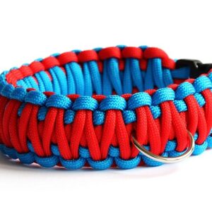 Sådan vælger du det perfekte hundehalsbånd: Kvalitet, komfort og stil